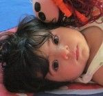 آرنیکا آرنیکا