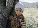 محمد نوید محمد نوید