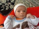 مهدی