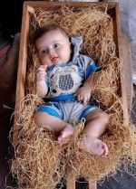 علی علی