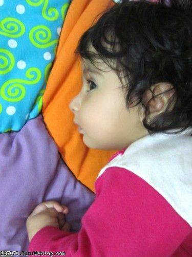 آرنیکا گلی