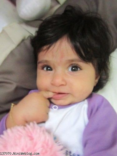 آرنیکا گلی