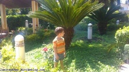بازی در دریاکنار 