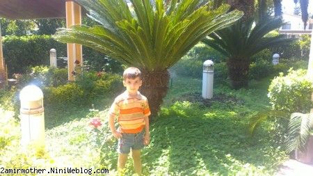 بازی در دریاکنار 