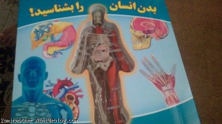 کتاب بدن انسان 