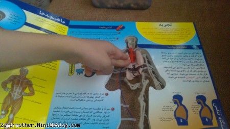 کتاب بدن انسان 