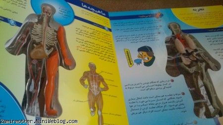 کتاب بدن انسان 