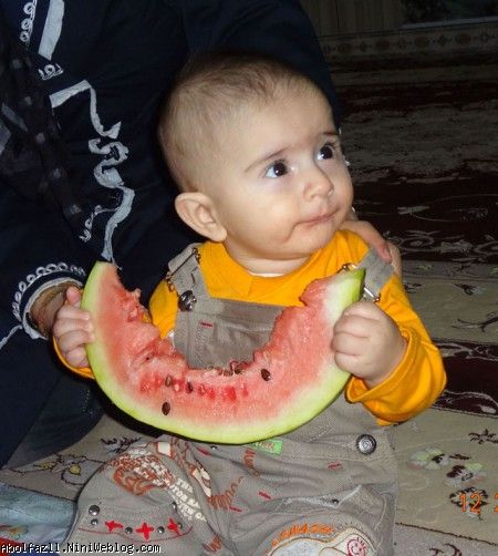 شب یلدا با ابوالفضل