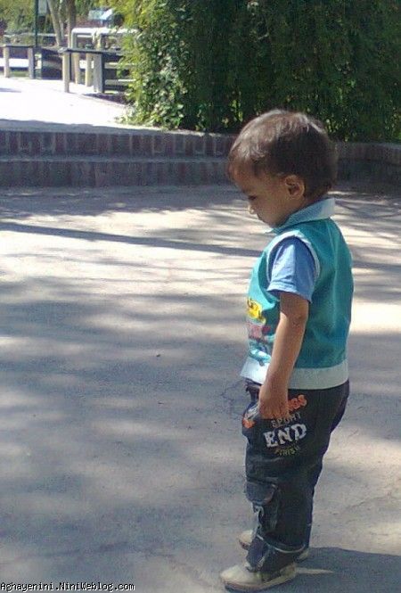 امیر حسین مهدی سلطانی زرندی