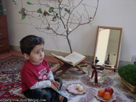 هفت سین روی درخته