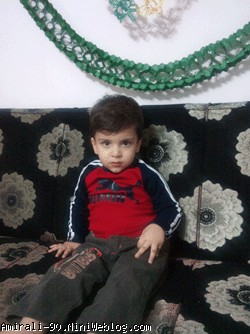 امیر علی 