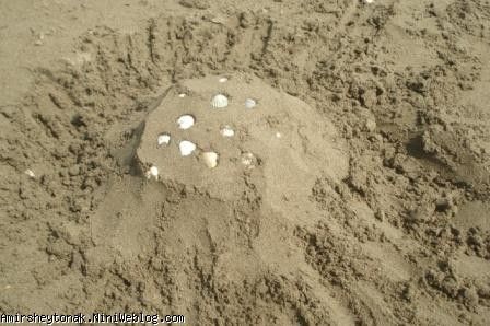 آثار هنری گل پسر برروی ماسه