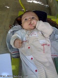 نی نی دانشجو