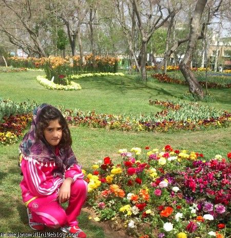 ملی