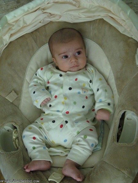 سه ماهگی