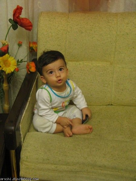 دوازده ماهگی
