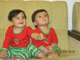 دوازده ماهگی