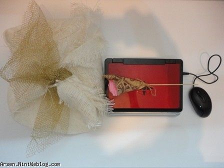 هدیه خاله فرناز