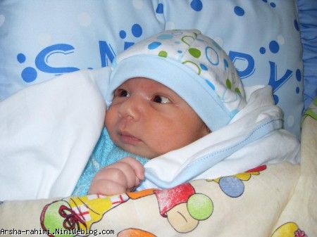 آرشا 10 روزگی
