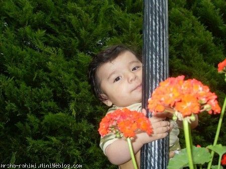 وبلا شمال(6 ماهگی) آرشا