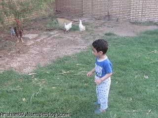 عسل در باغ