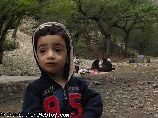عسل در پارک جنگلی گلستان