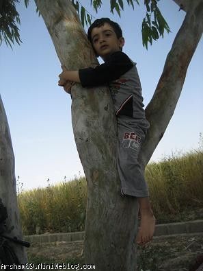 سیزده بدر