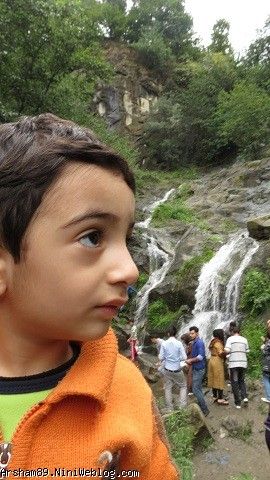 عسل