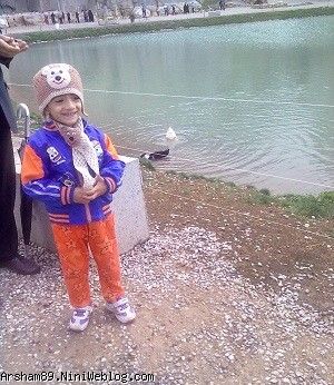 آرشام