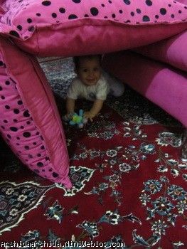 آرشیدا و بازی