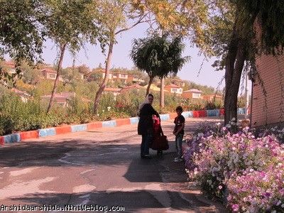 آرشیدا در دهکده چادگان