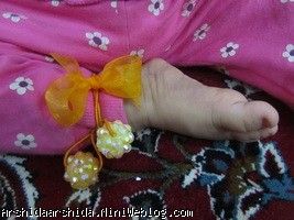 آرشیدای زنگوله پا