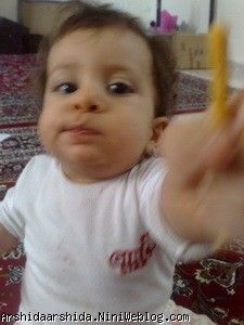 آرشیدا و چوب شورش