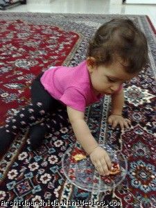 آرشیدا