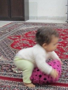 آرشیدا