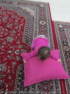 آرشیدا 