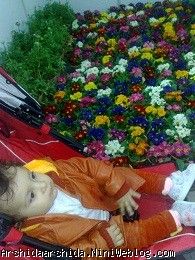 آرشیدا