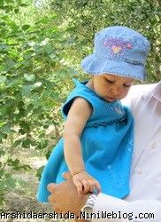 آرشیدا