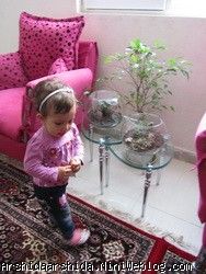 آرشیدا 