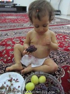آرشیدا 