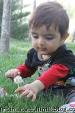اولین باری که نشستی روی چمن
