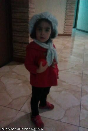 آویسا