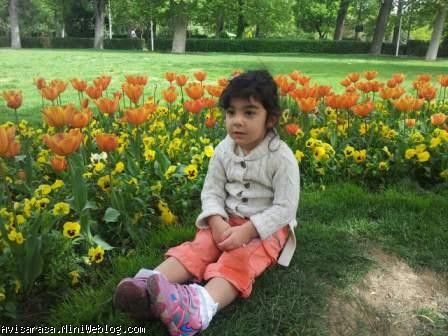 آویسا