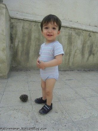 آیدین