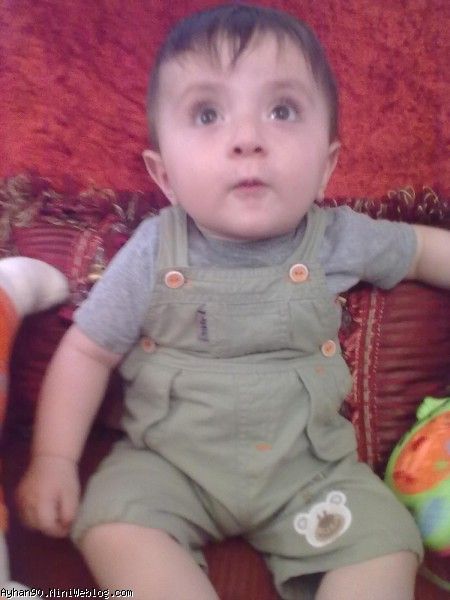 جوجوی نازم