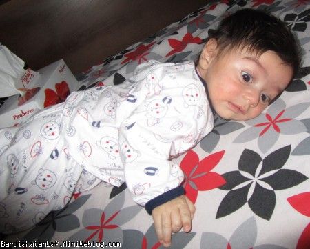 بردیای دمر شده بردیای دمر شده