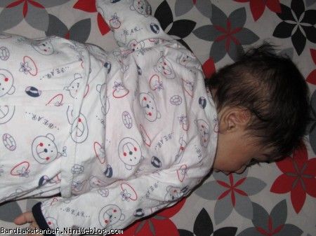 بردیای دمر شده بردیای دمر شده