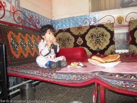 بردیا و صبحانه