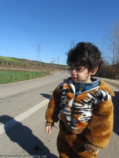 بردیا