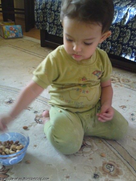 کنجکاوی بردیا جونی 